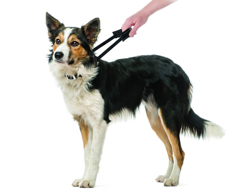 Sherpa Dog Collar, Built-in Quick Grab Handle, Padded - Black, Medium - Image 2
